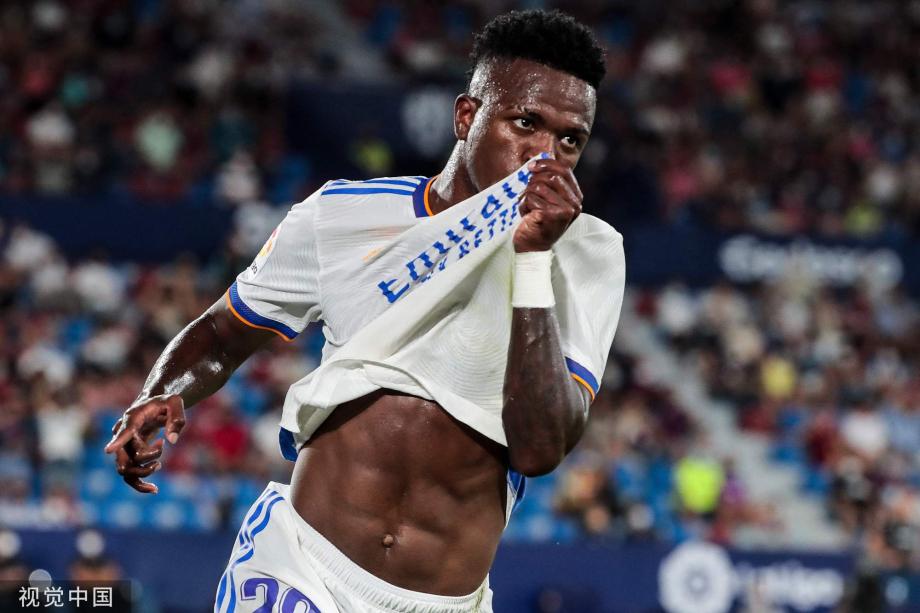 看到了羽毛 看到了羽毛