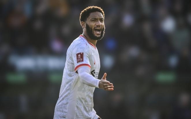 但对在线博 但对在线博